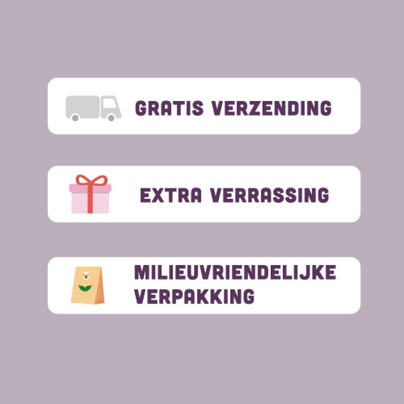 BROK hondenvoeding - Kip & kruiden - 12kg