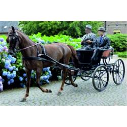 Paul Claessen pony tuig voor stokmaat ca 1.45