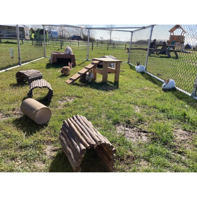 Super kindervakantie aangeboden
