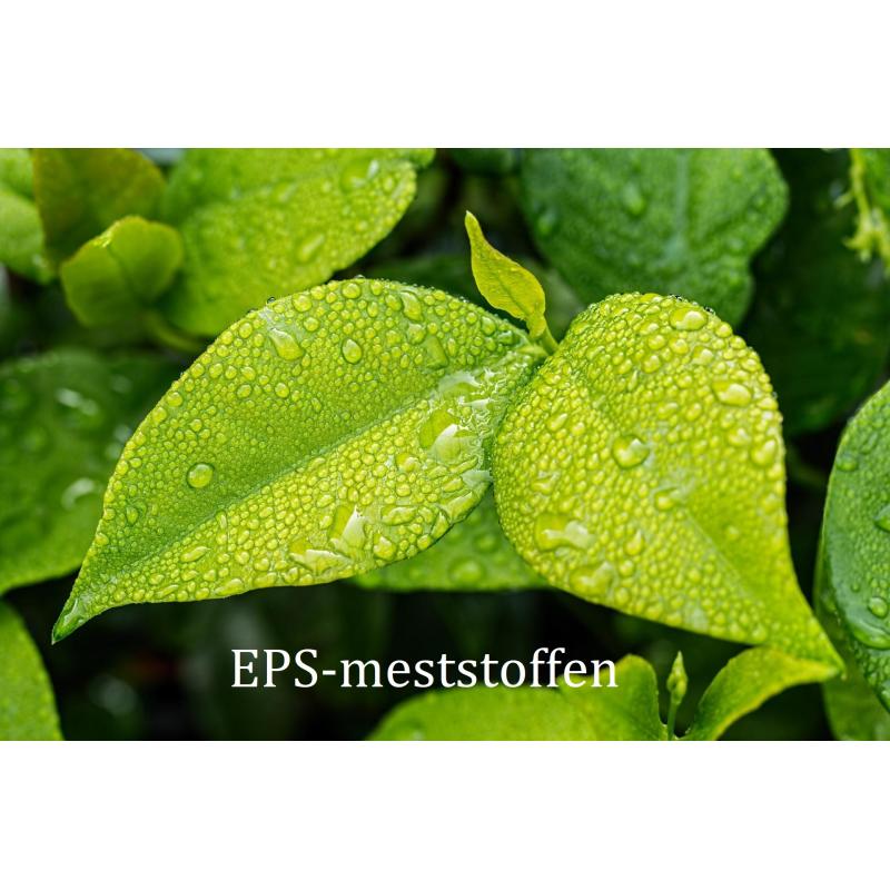 EPS bladvoeding 250 ml Plantenvoeding.