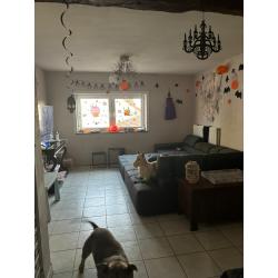 Zeer ruime duplex te huur