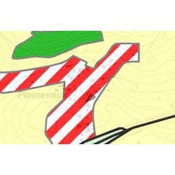 PLAINEVAUX (Paliseul) : Terrain à bâtir - VAS1261A