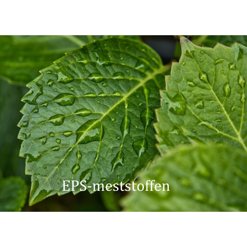 EPS bladvoeding 500 ml Plantenvoeding.