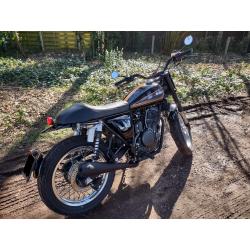 Mash Dirt Track 650 - A2