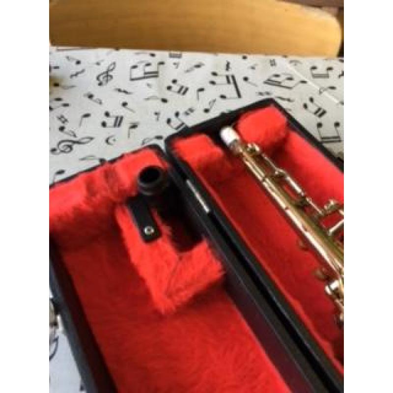 Saxopraan Buffet Crampon