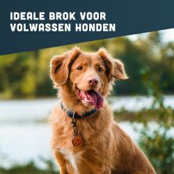 Graanvrij hondenvoer van BROK - Zalm, Forel & Asperges